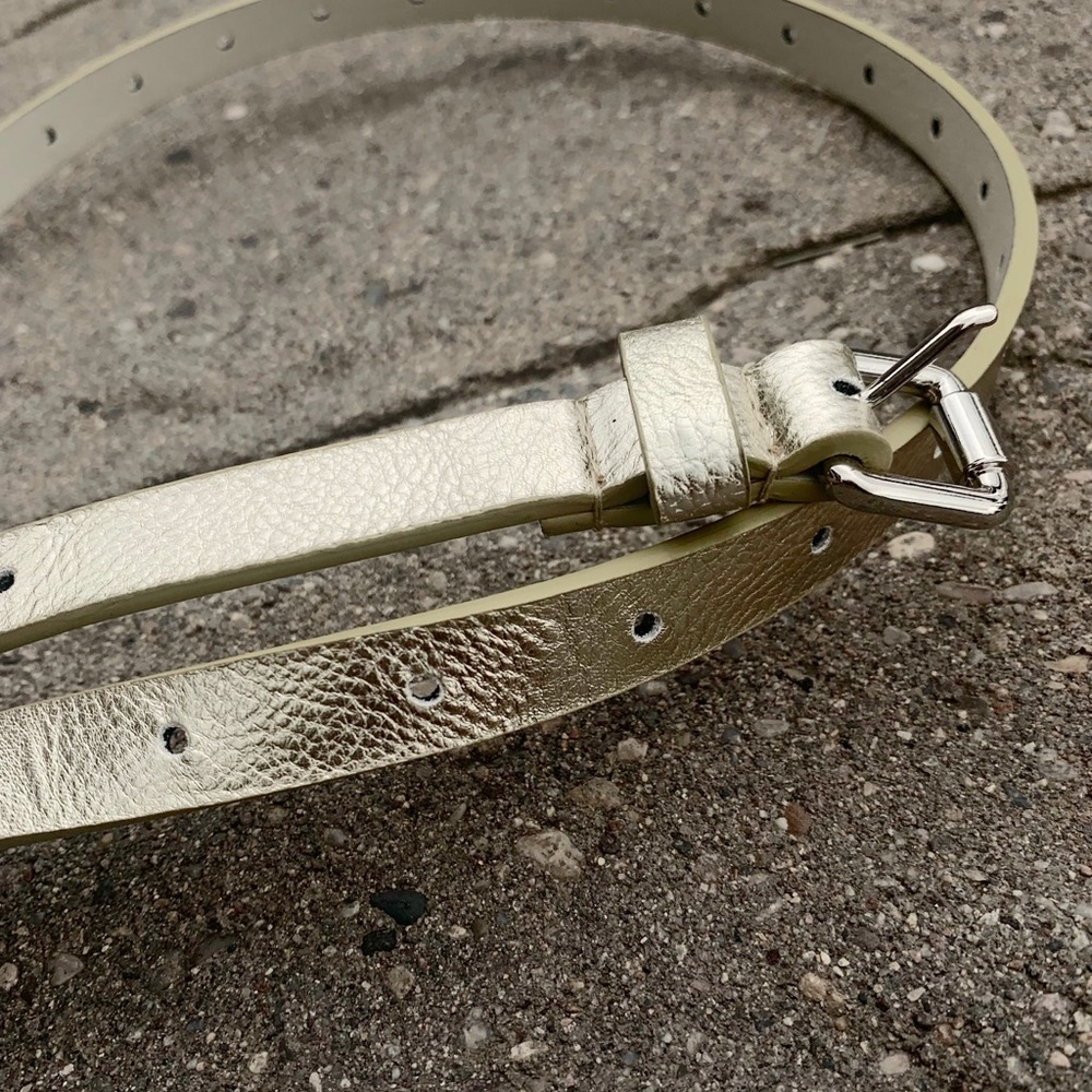 Gold Belt with holes
